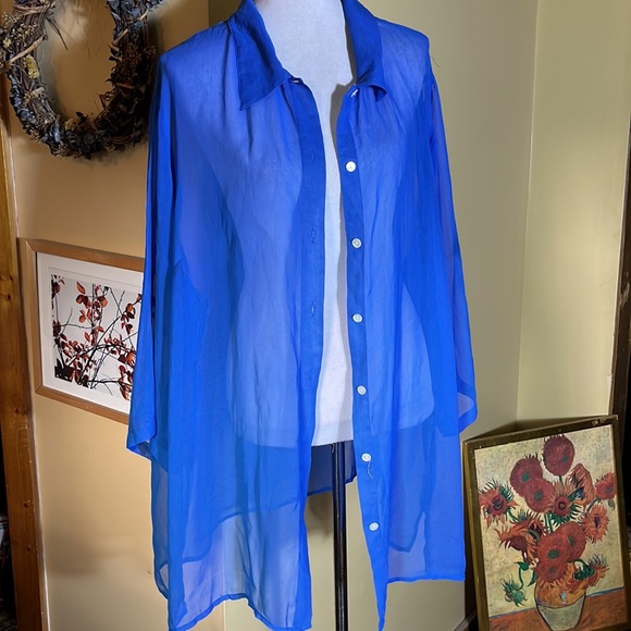 Vintage ROMANS Size 2X Blue Transparent Chiffon ButtonFront Blouse Layering Top - Picture 4 of 8